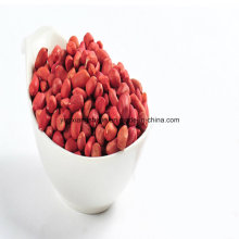 Red Skin Peanut Kernel, Roud Type, Silihong